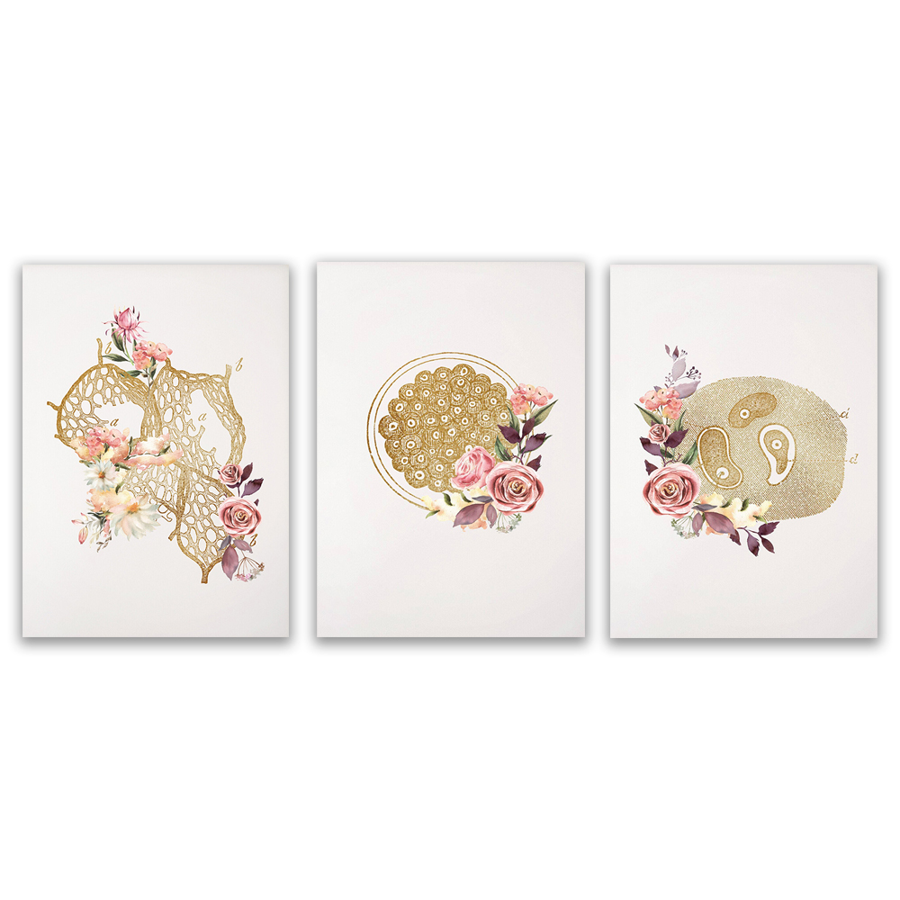 Medical Lab Gifts - Decoração de escritório para técnico de