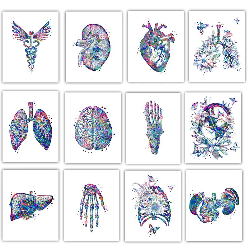 Anatomy Medical Poster Flower  - Medical Lab Pictures avaliação e preço